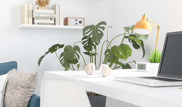 white desk with laptop and green plant